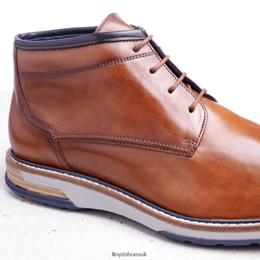 LLOYD Men GIJON H4BXXT556 Shoes brown