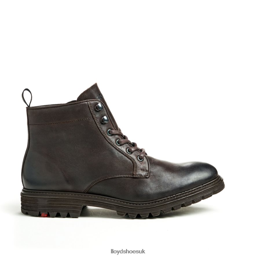LLOYD Men HALIFAX H4BXXT483 Shoes brown
