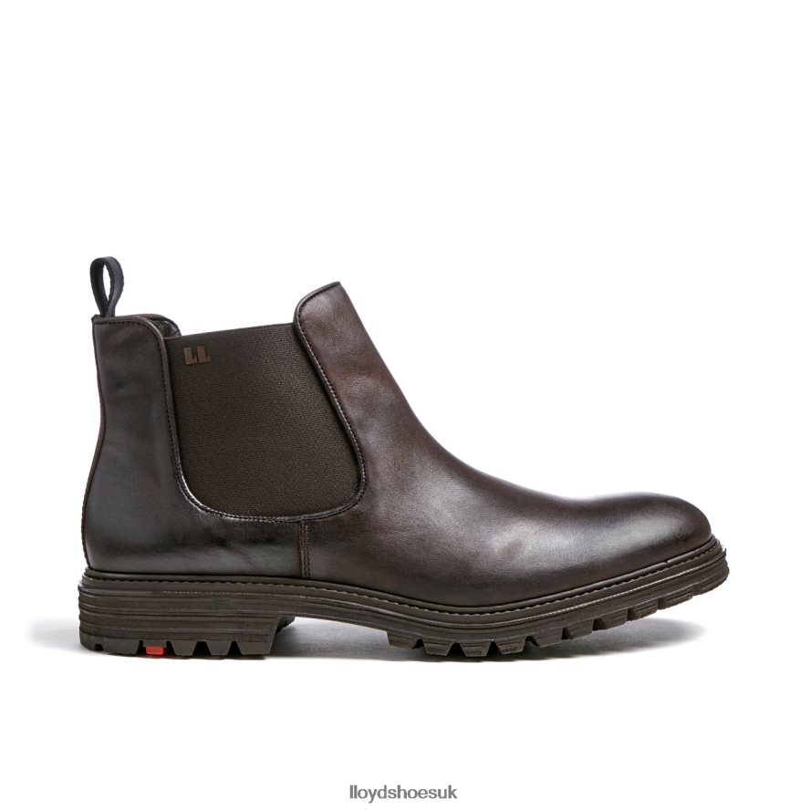 LLOYD Men HARWICH H4BXXT478 Shoes brown