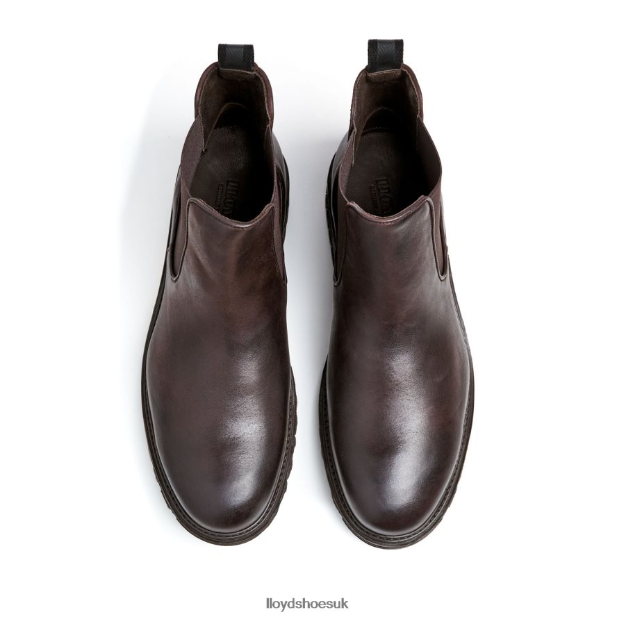 LLOYD Men HARWICH H4BXXT478 Shoes brown