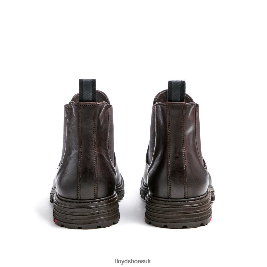 LLOYD Men HARWICH H4BXXT478 Shoes brown