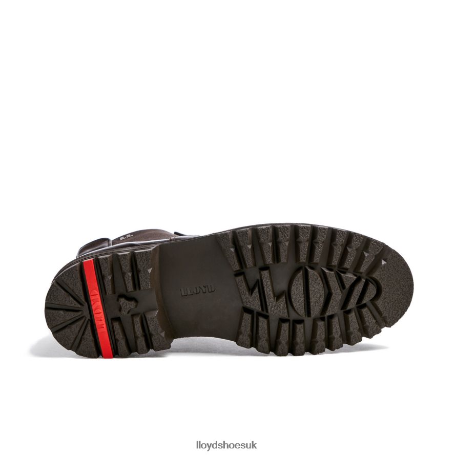 LLOYD Men HARWICH H4BXXT478 Shoes brown
