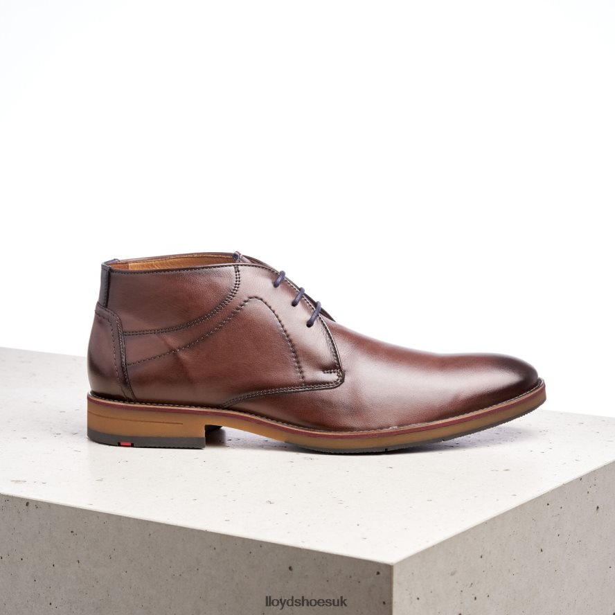 LLOYD Men HASTINGS H4BXXT566 Shoes brown