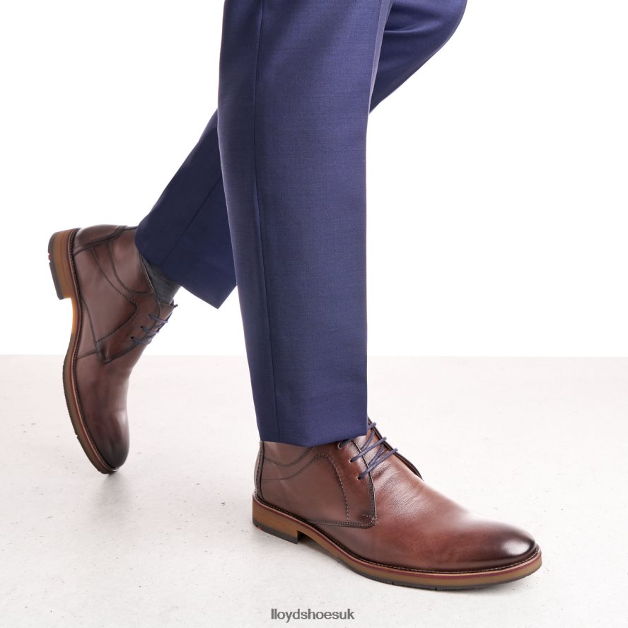 LLOYD Men HASTINGS H4BXXT566 Shoes brown