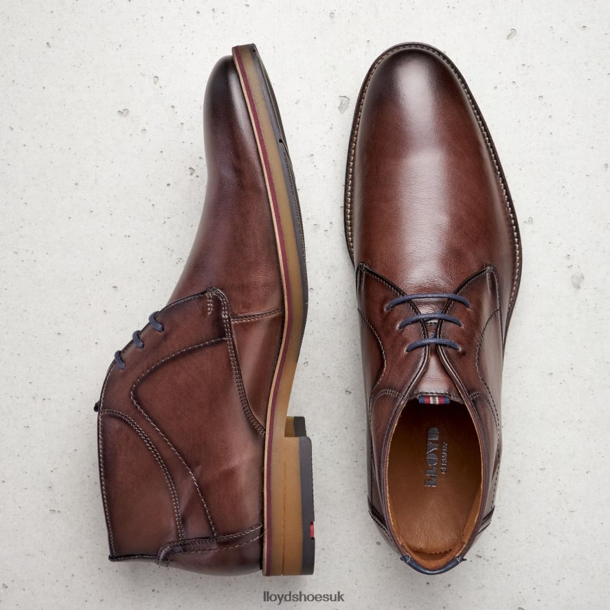 LLOYD Men HASTINGS H4BXXT566 Shoes brown