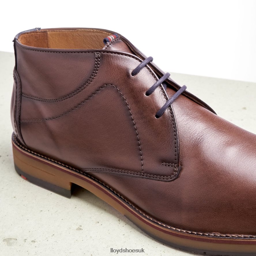 LLOYD Men HASTINGS H4BXXT566 Shoes brown
