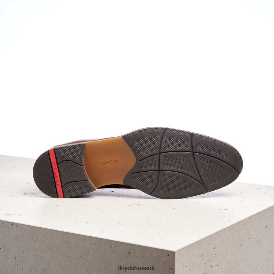 LLOYD Men HASTINGS H4BXXT566 Shoes brown