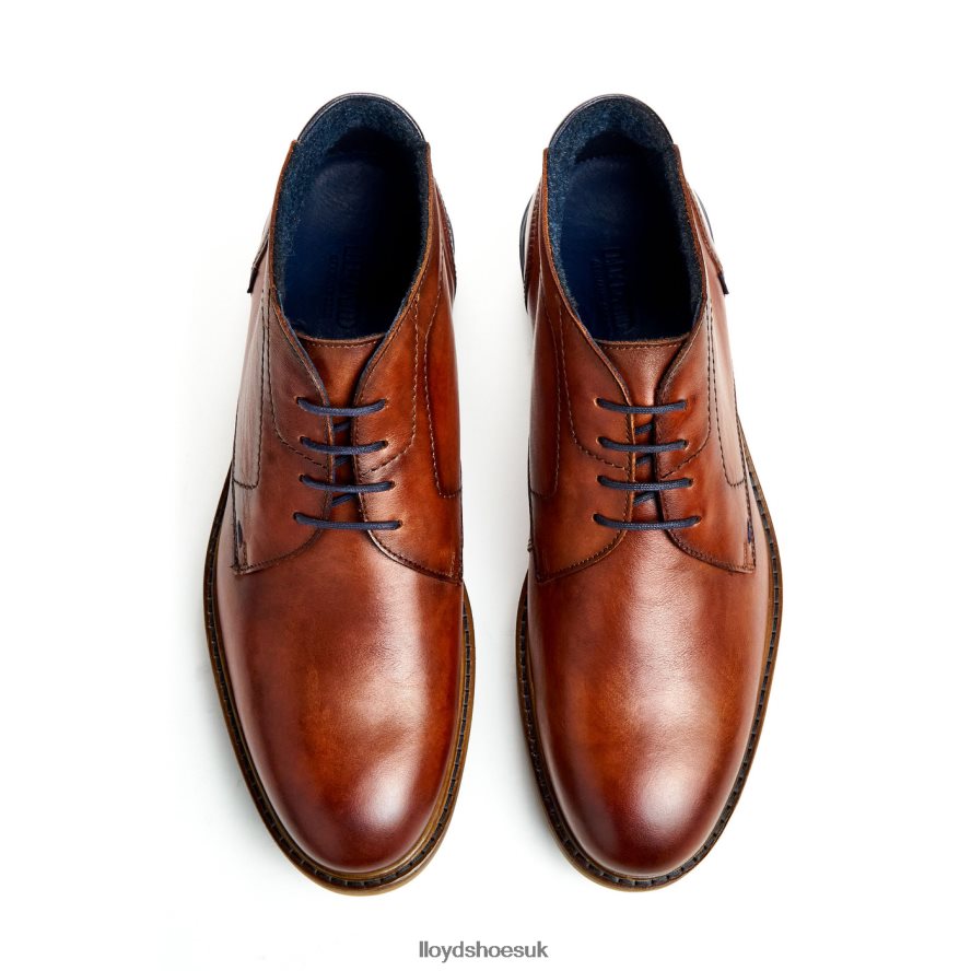 LLOYD Men HENGELO H4BXXT463 Shoes brown