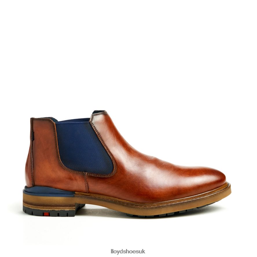 LLOYD Men HENRY H4BXXT464 Shoes brown