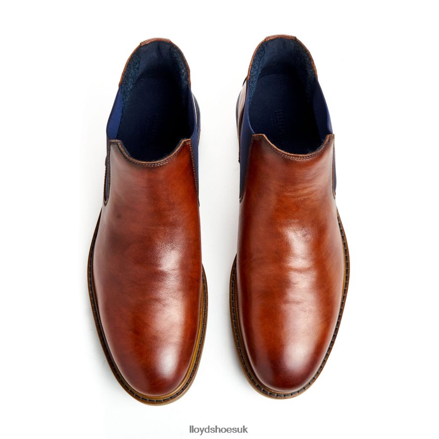 LLOYD Men HENRY H4BXXT464 Shoes brown