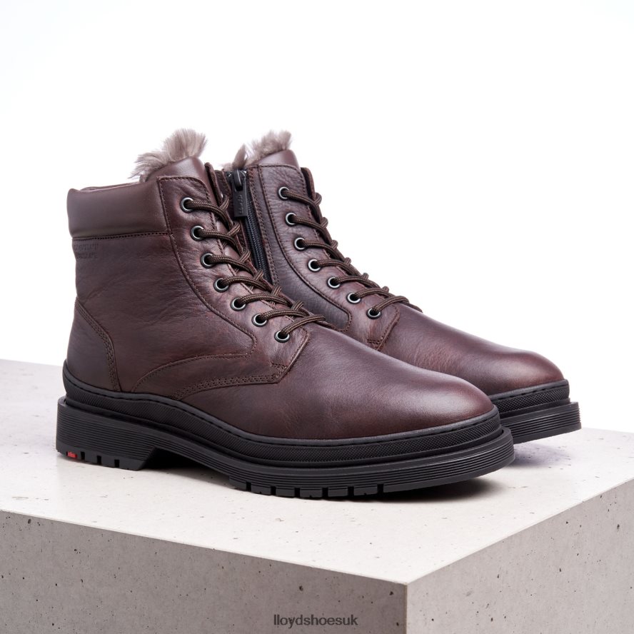 LLOYD Men HOLLIS H4BXXT509 Shoes brown