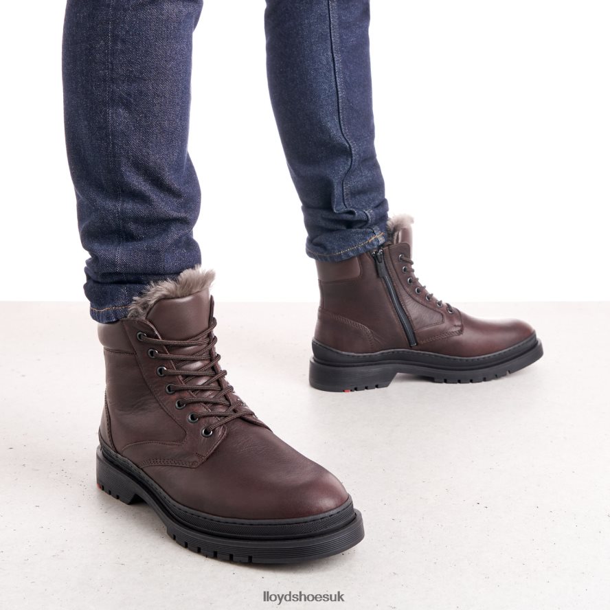 LLOYD Men HOLLIS H4BXXT509 Shoes brown