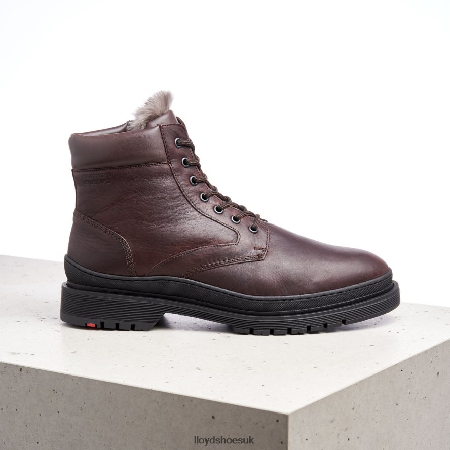 LLOYD Men HOLLIS H4BXXT509 Shoes brown