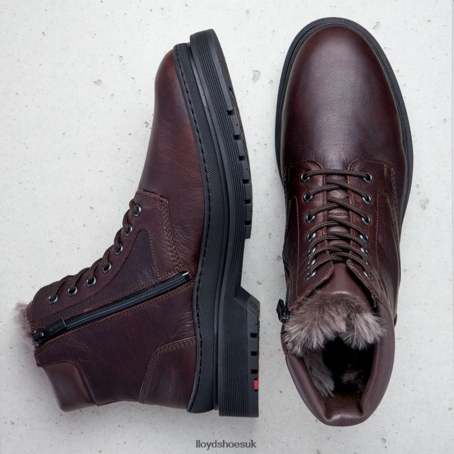 LLOYD Men HOLLIS H4BXXT509 Shoes brown