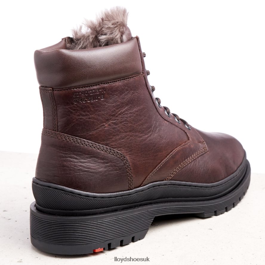 LLOYD Men HOLLIS H4BXXT509 Shoes brown