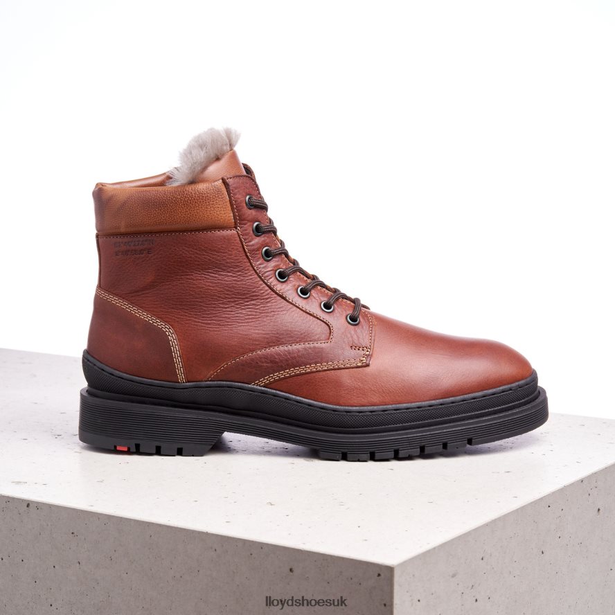 LLOYD Men HOLLIS H4BXXT537 Shoes brown