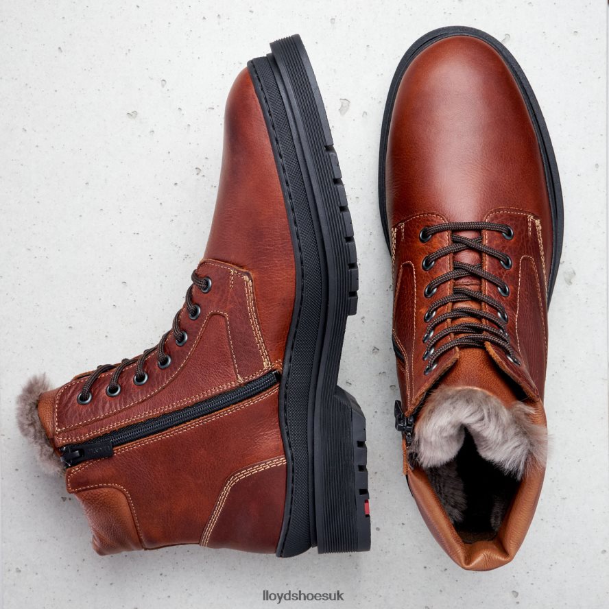 LLOYD Men HOLLIS H4BXXT537 Shoes brown
