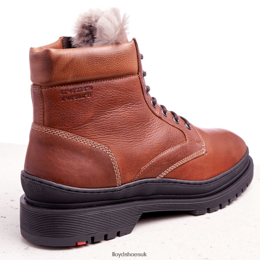 LLOYD Men HOLLIS H4BXXT537 Shoes brown