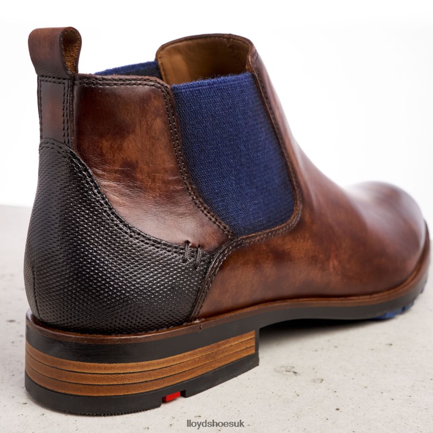 LLOYD Men JASER H4BXXT200 Shoes brown