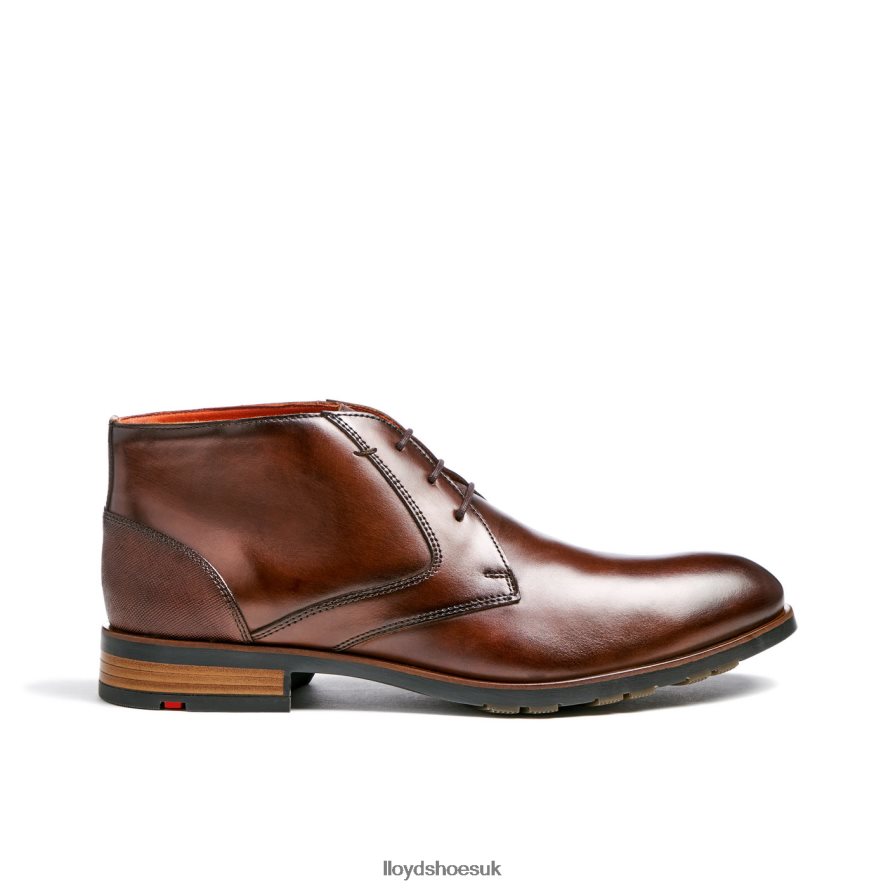 LLOYD Men JEFFREY H4BXXT471 Shoes brown