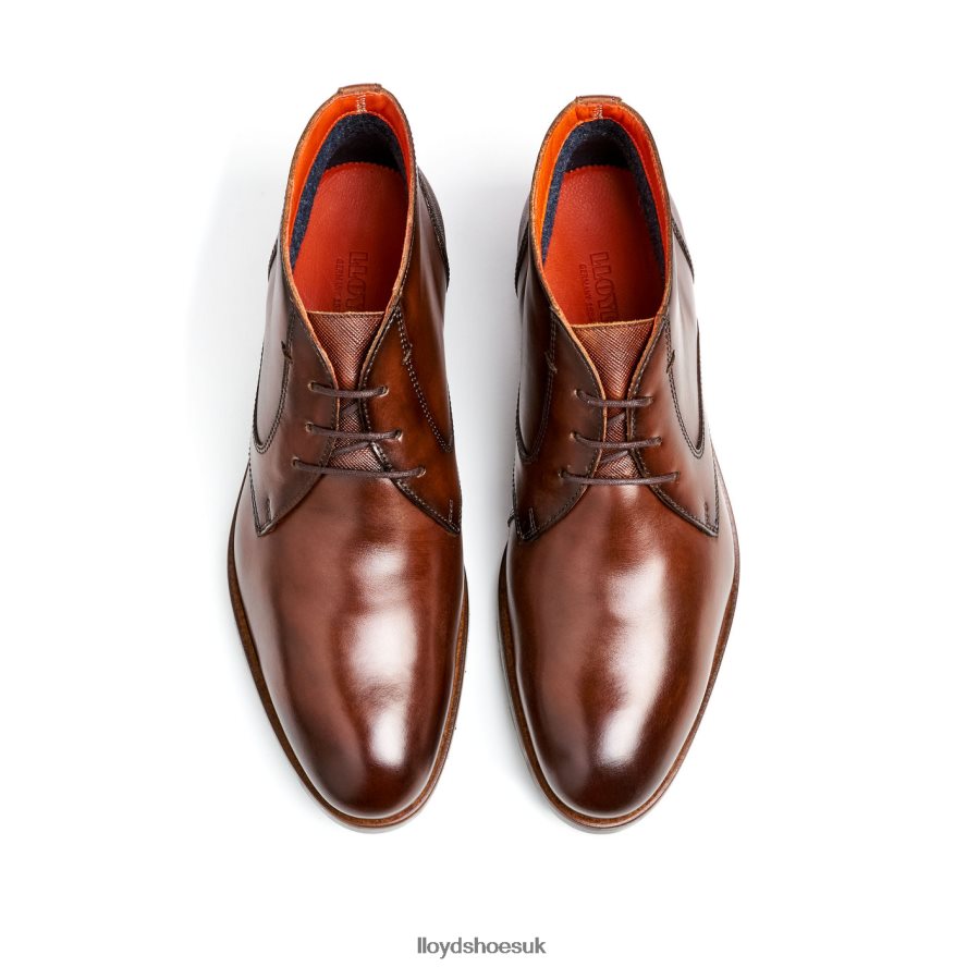 LLOYD Men JEFFREY H4BXXT471 Shoes brown