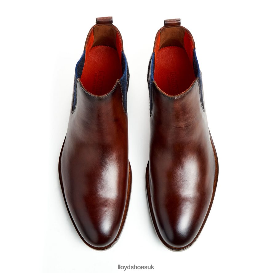 LLOYD Men JONAH H4BXXT58 Shoes brown