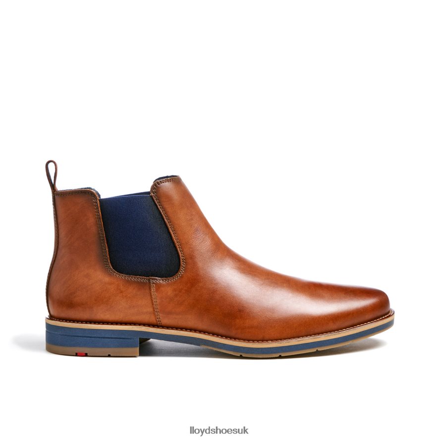 LLOYD Men LAWRENCE H4BXXT453 Shoes brown