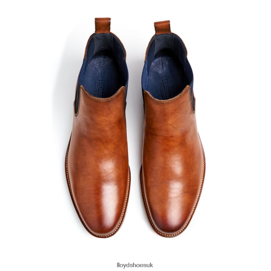 LLOYD Men LAWRENCE H4BXXT453 Shoes brown