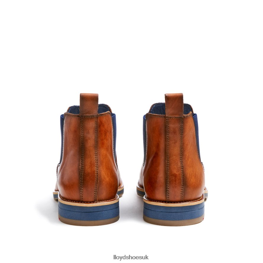 LLOYD Men LAWRENCE H4BXXT453 Shoes brown