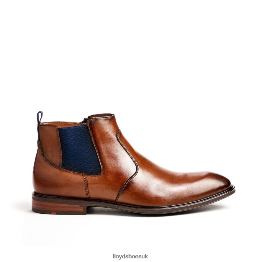 LLOYD Men MATTEO H4BXXT12 Shoes brown
