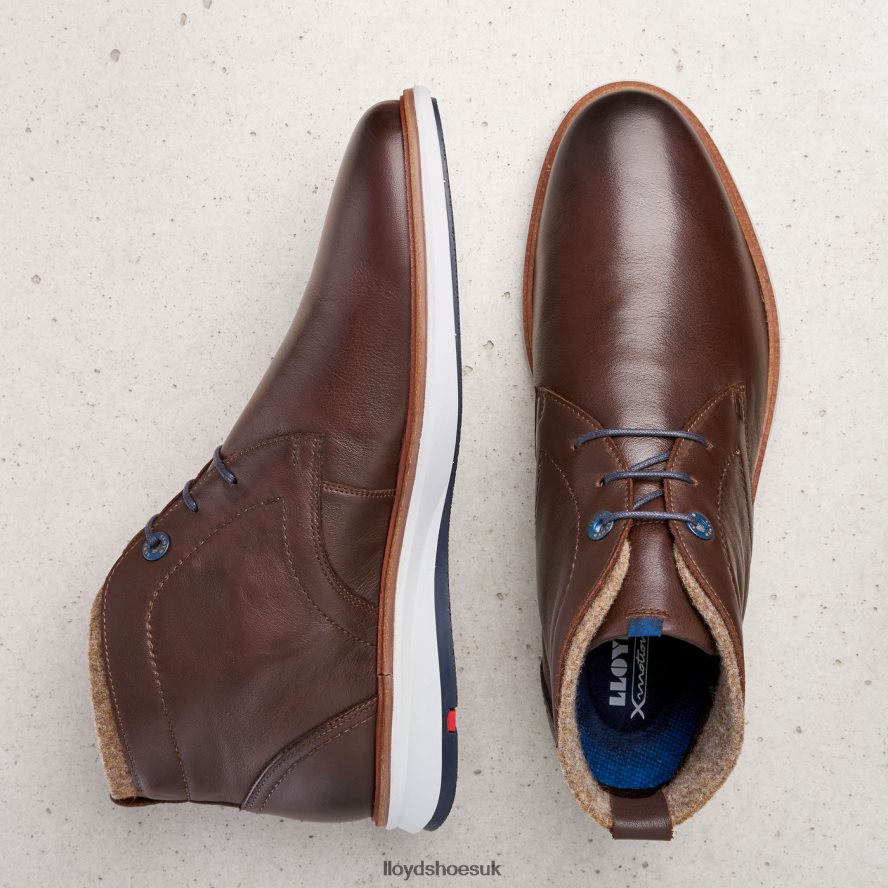 LLOYD Men MAXWELL H4BXXT274 Shoes brown