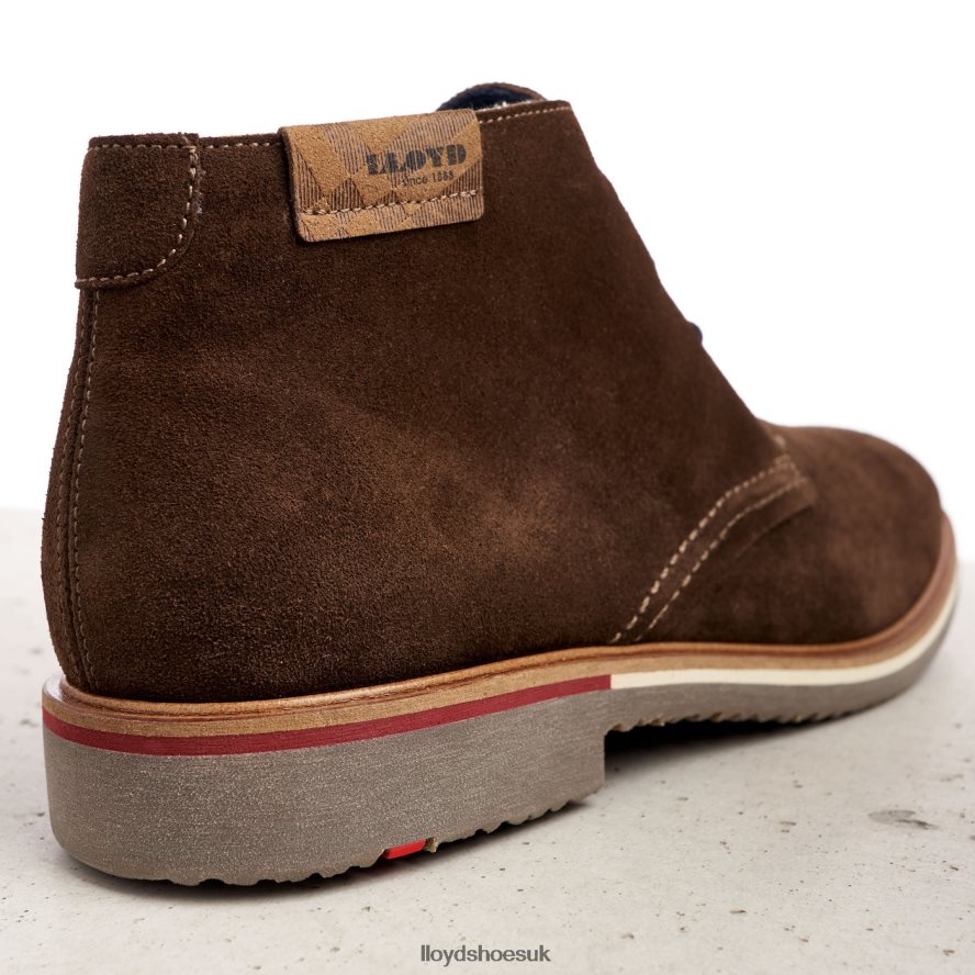 LLOYD Men NOVO H4BXXT561 Shoes brown