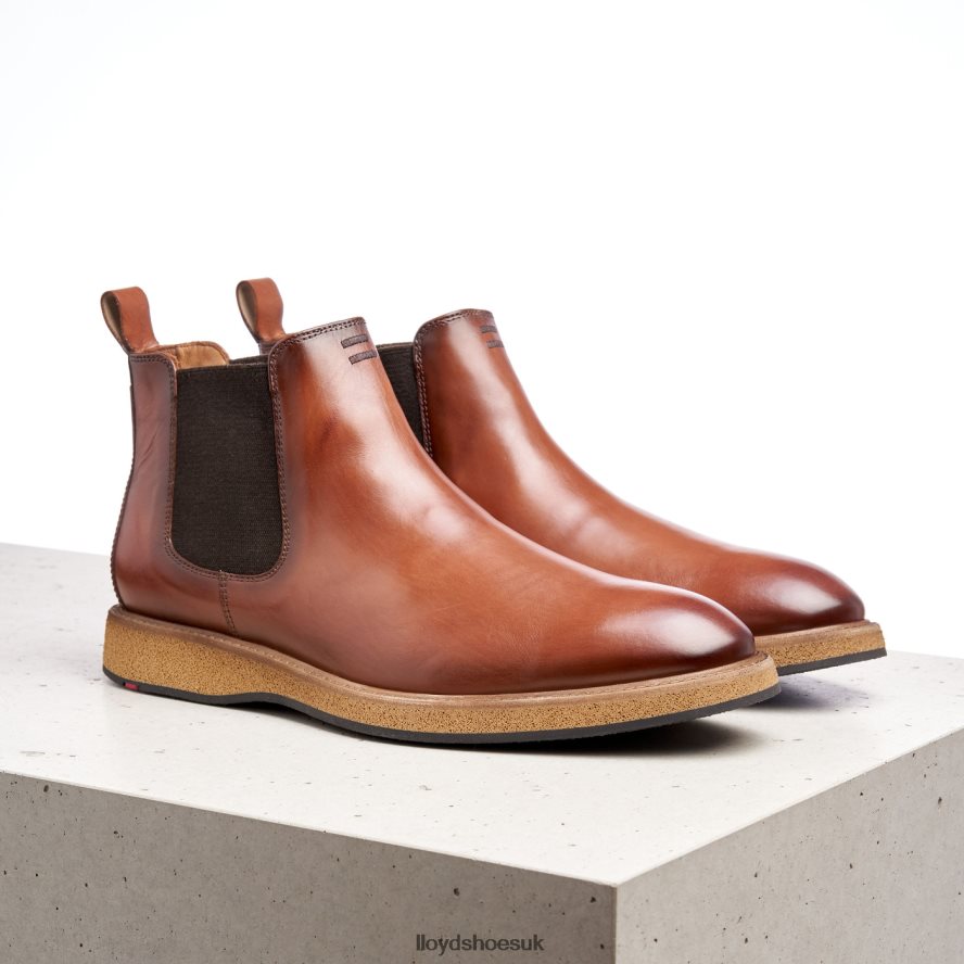 LLOYD Men ORIS H4BXXT558 Shoes brown