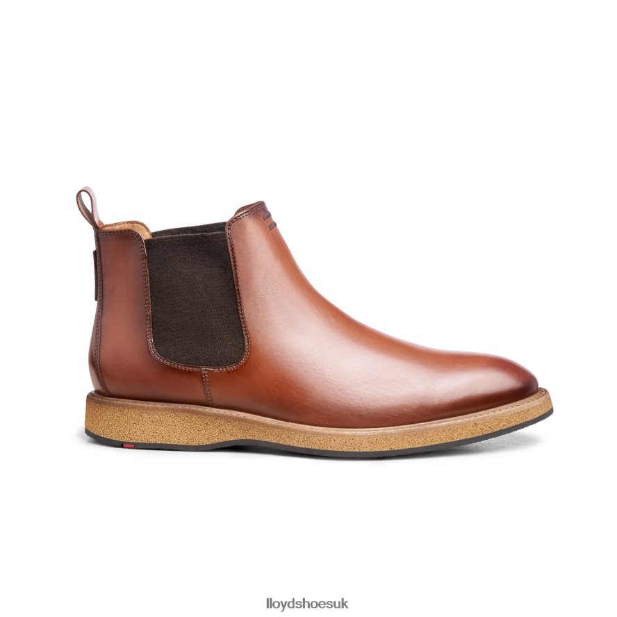 LLOYD Men ORIS H4BXXT558 Shoes brown