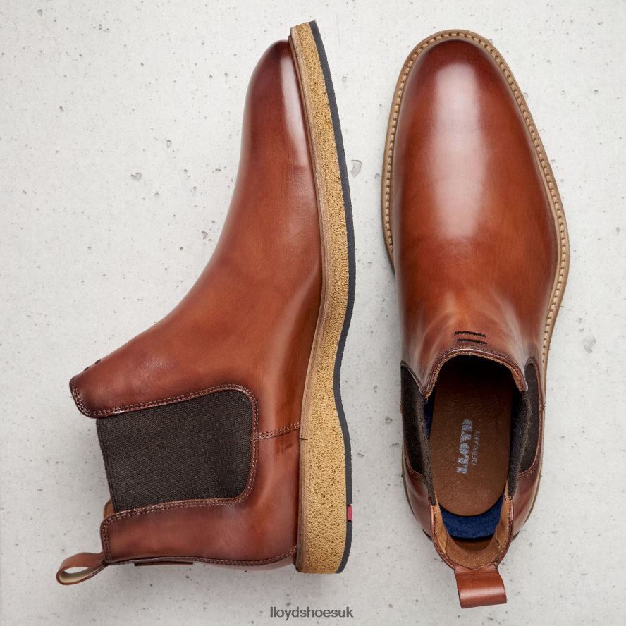 LLOYD Men ORIS H4BXXT558 Shoes brown