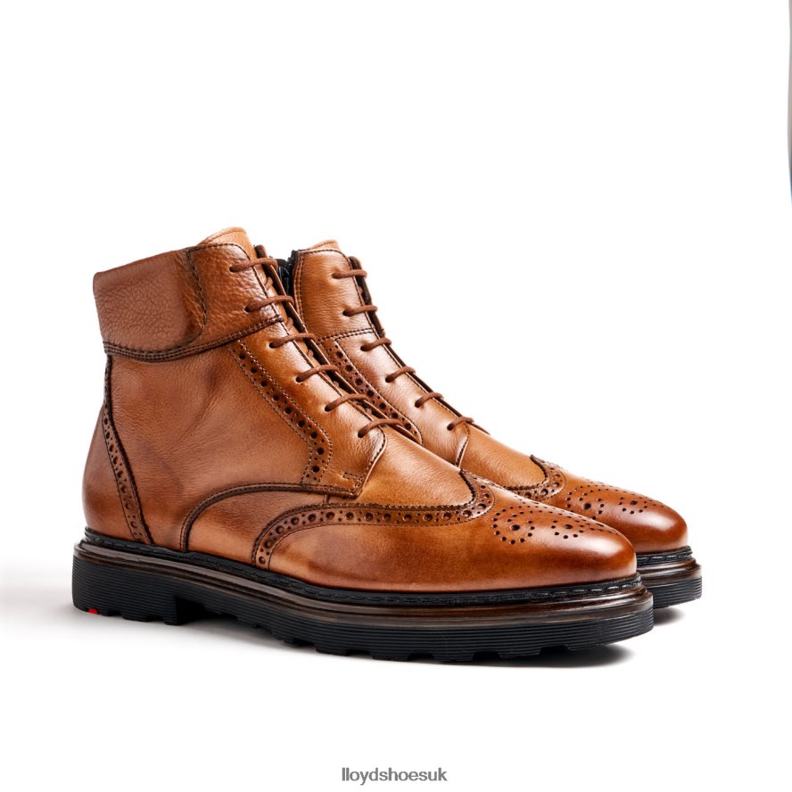 LLOYD Men OSKO H4BXXT502 Shoes brown