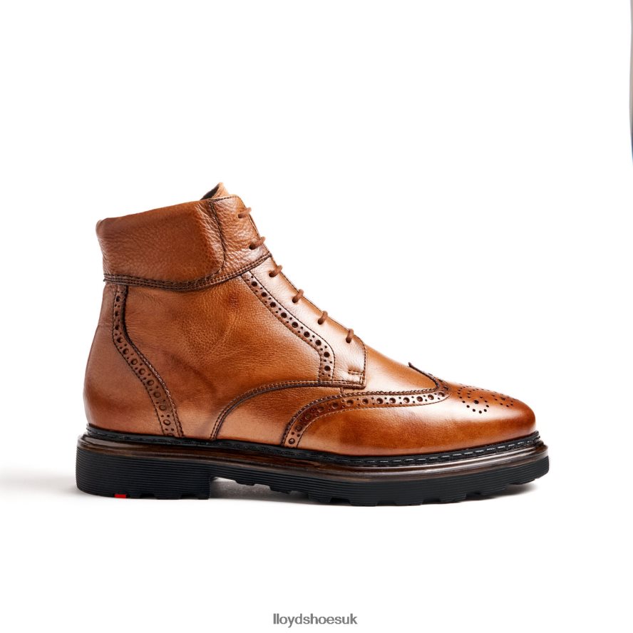 LLOYD Men OSKO H4BXXT502 Shoes brown