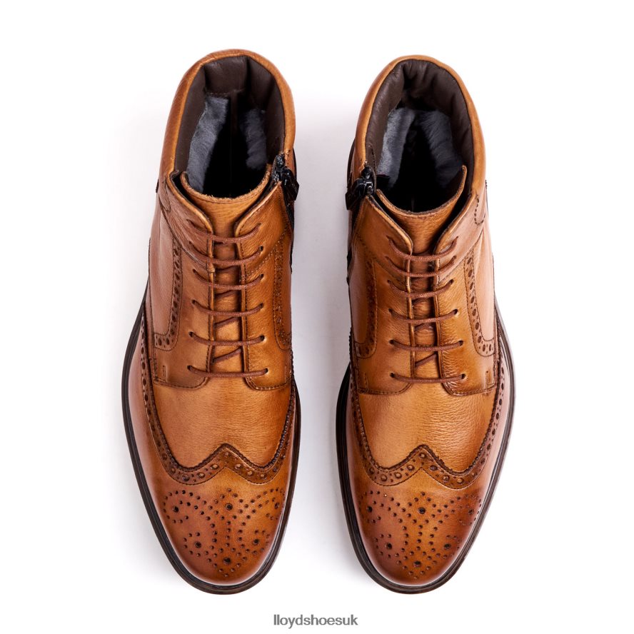 LLOYD Men OSKO H4BXXT502 Shoes brown