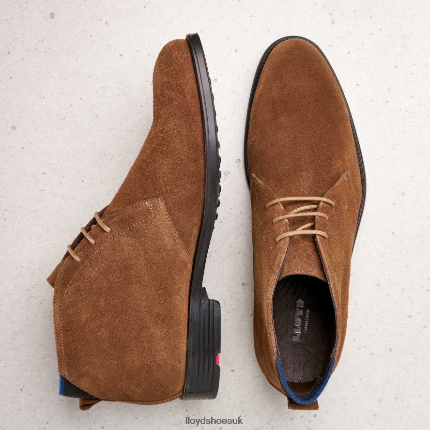 LLOYD Men PATRIOT H4BXXT531 Shoes brown