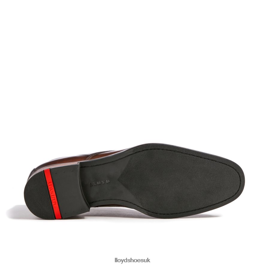 LLOYD Men SANTOS H4BXXT494 Shoes brown