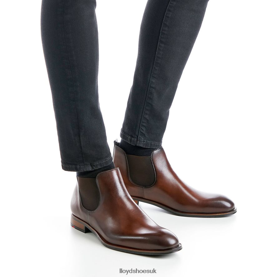 LLOYD Men SCOUT H4BXXT239 Shoes brown