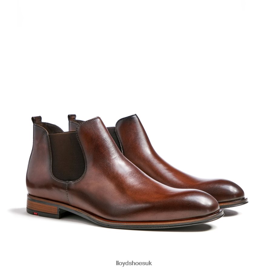 LLOYD Men SCOUT H4BXXT239 Shoes brown