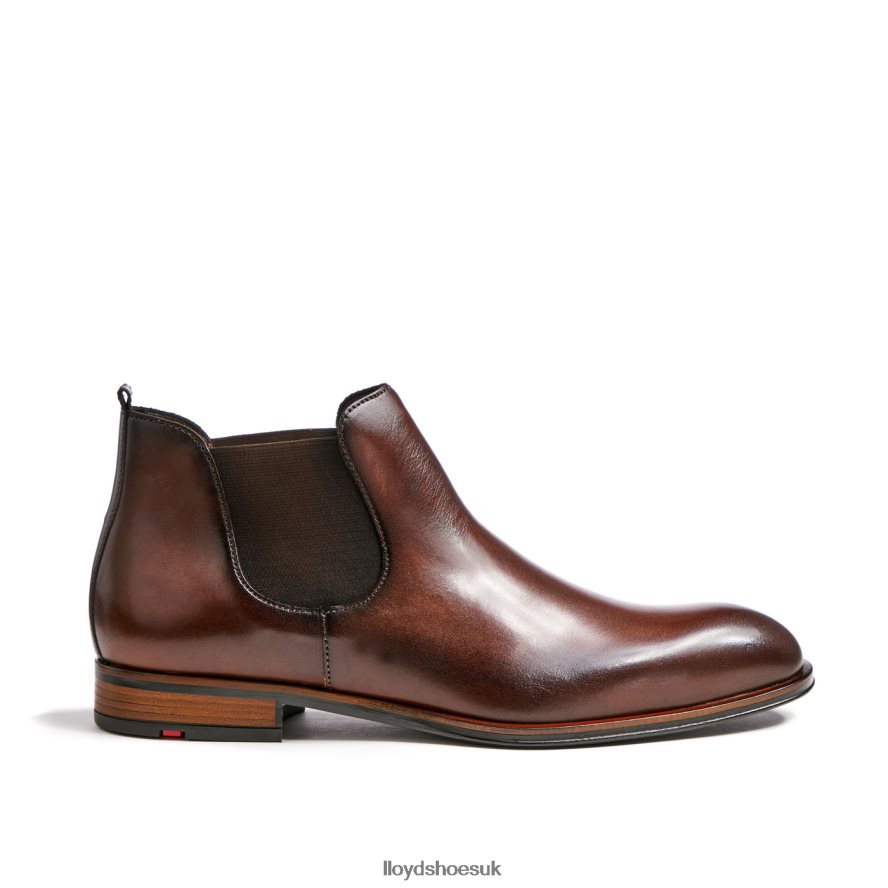 LLOYD Men SCOUT H4BXXT239 Shoes brown