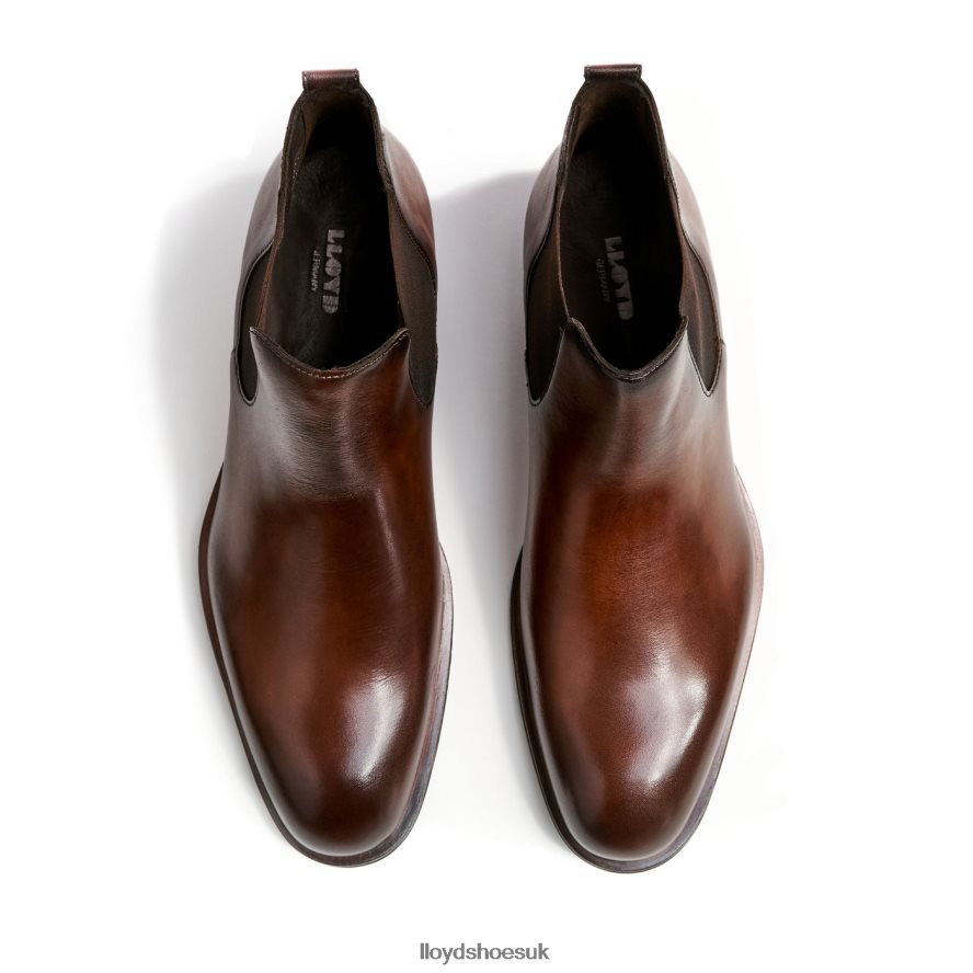 LLOYD Men SCOUT H4BXXT239 Shoes brown