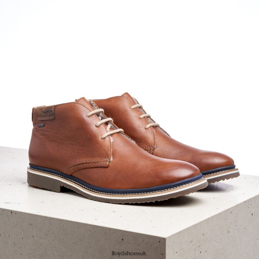 LLOYD Men VALENCIA H4BXXT507 Shoes brown