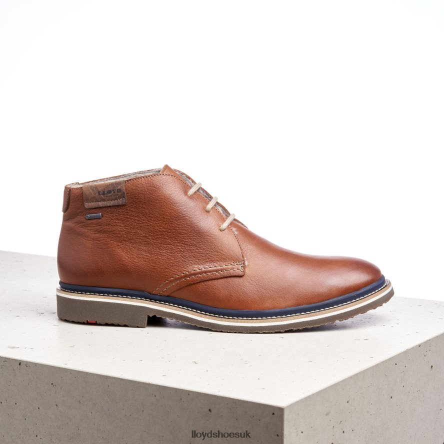 LLOYD Men VALENCIA H4BXXT507 Shoes brown