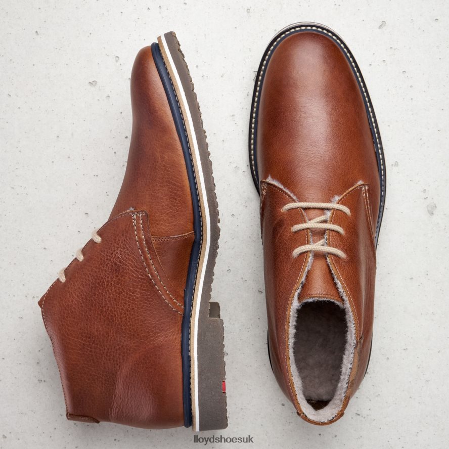 LLOYD Men VALENCIA H4BXXT507 Shoes brown