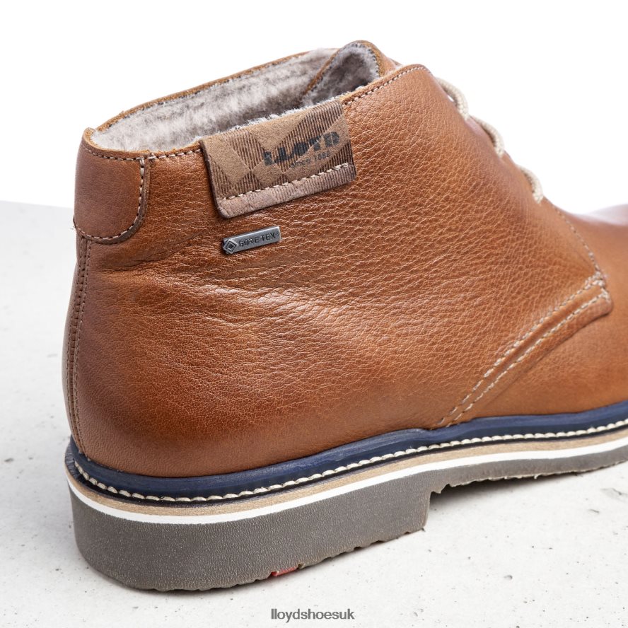 LLOYD Men VALENCIA H4BXXT507 Shoes brown