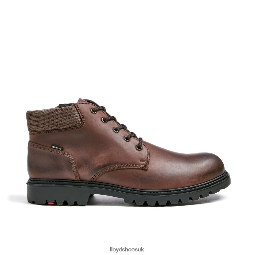LLOYD Men VANCOUVER H4BXXT534 Shoes brown