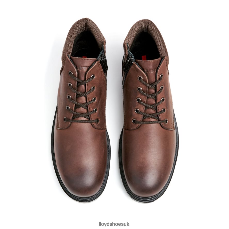 LLOYD Men VANCOUVER H4BXXT534 Shoes brown